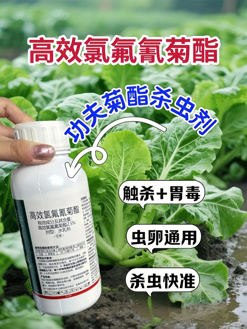 河源代生中心:农药对供卵代生妈妈的危害